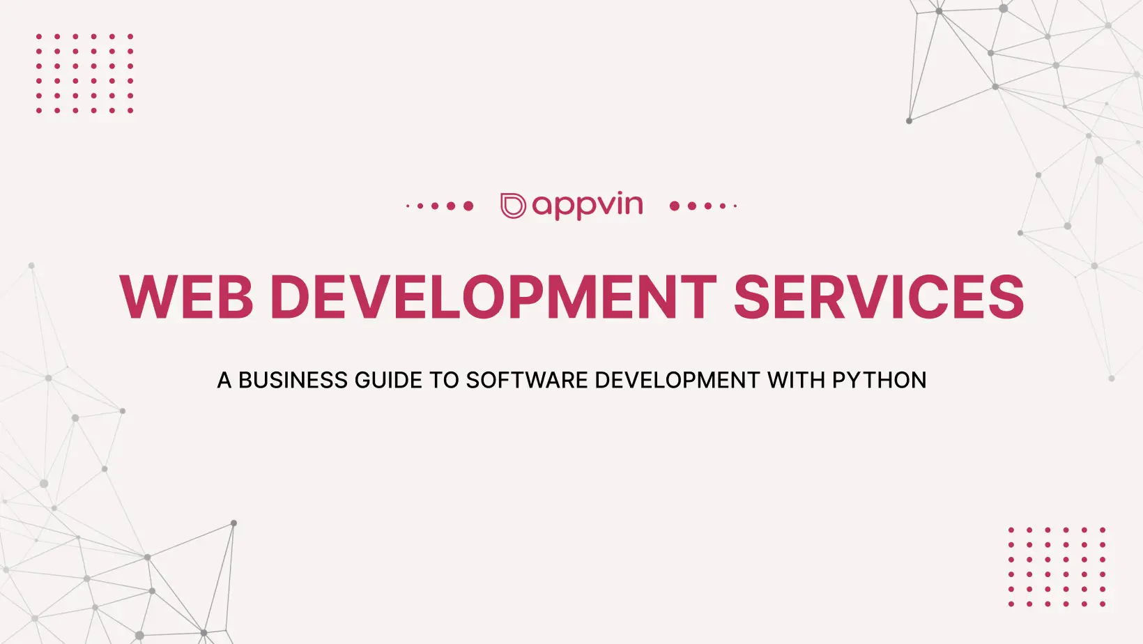 A Business Guide to Software Development with Python